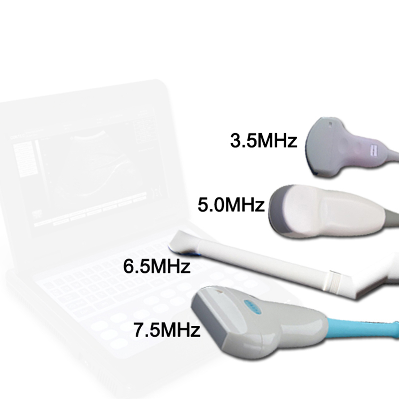 Système de diagnostic par ultrasons vétérinaire CMS600P2VET