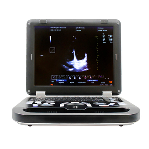 Équipement d'échographie vétérinaire portable CMS1700C-VET