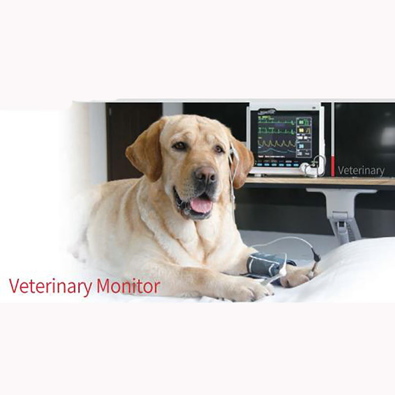 Moniteur vétérinaire multiparamètre portable grand écran de 8 pouces CMS6000VET