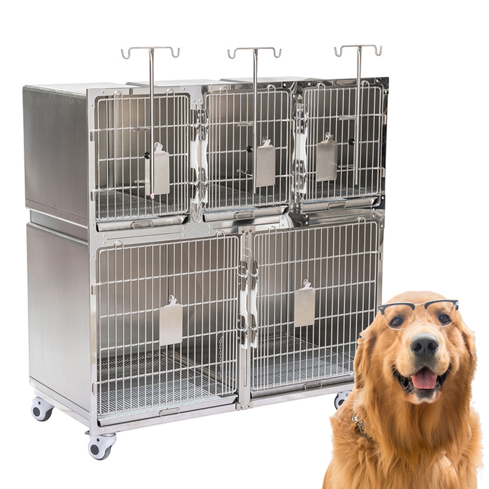 Cage de thérapie pour animaux de compagnie, chenils vétérinaires de haute qualité, PLVC-005