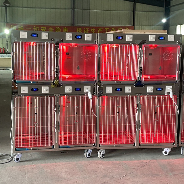 Cages de thérapie infrarouge pour hôpitaux pour animaux de compagnie PLVC-004