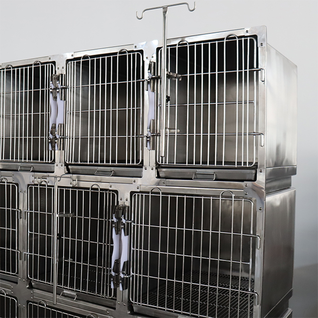 Grandes cages vétérinaires pour hôpital pour animaux de compagnie à 13 portes PLVC-13