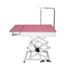 Table de toilettage pliable pour animaux de compagnie, équipement vétérinaire professionnel, N-109