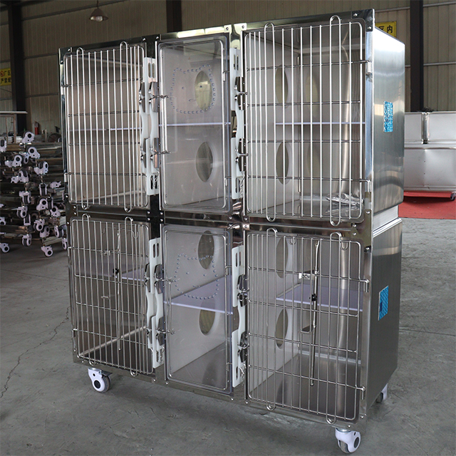 Cage de luxe pour chien et chat vétérinaire en acier inoxydable PLVC-009