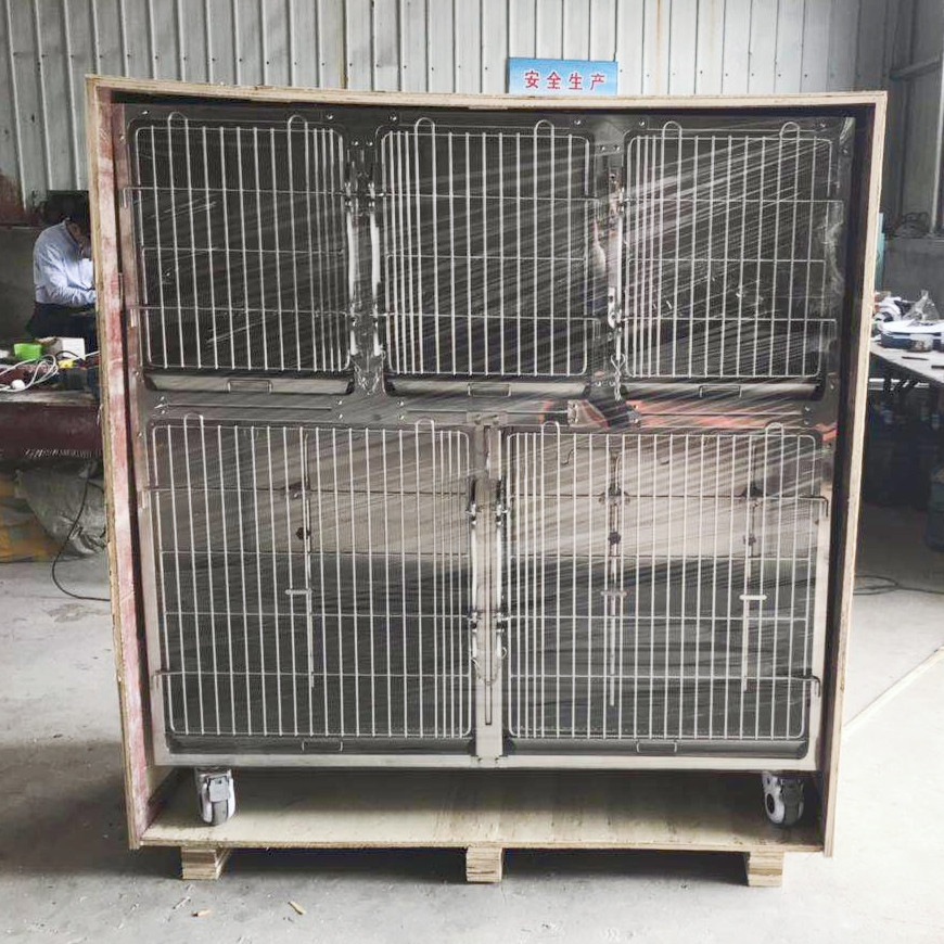 Cage de thérapie pour animaux de compagnie, chenils vétérinaires de haute qualité, PLVC-005