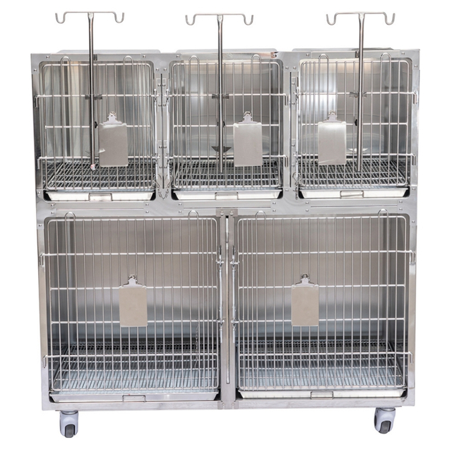 Cage de thérapie pour animaux de compagnie, chenils vétérinaires de haute qualité, PLVC-005