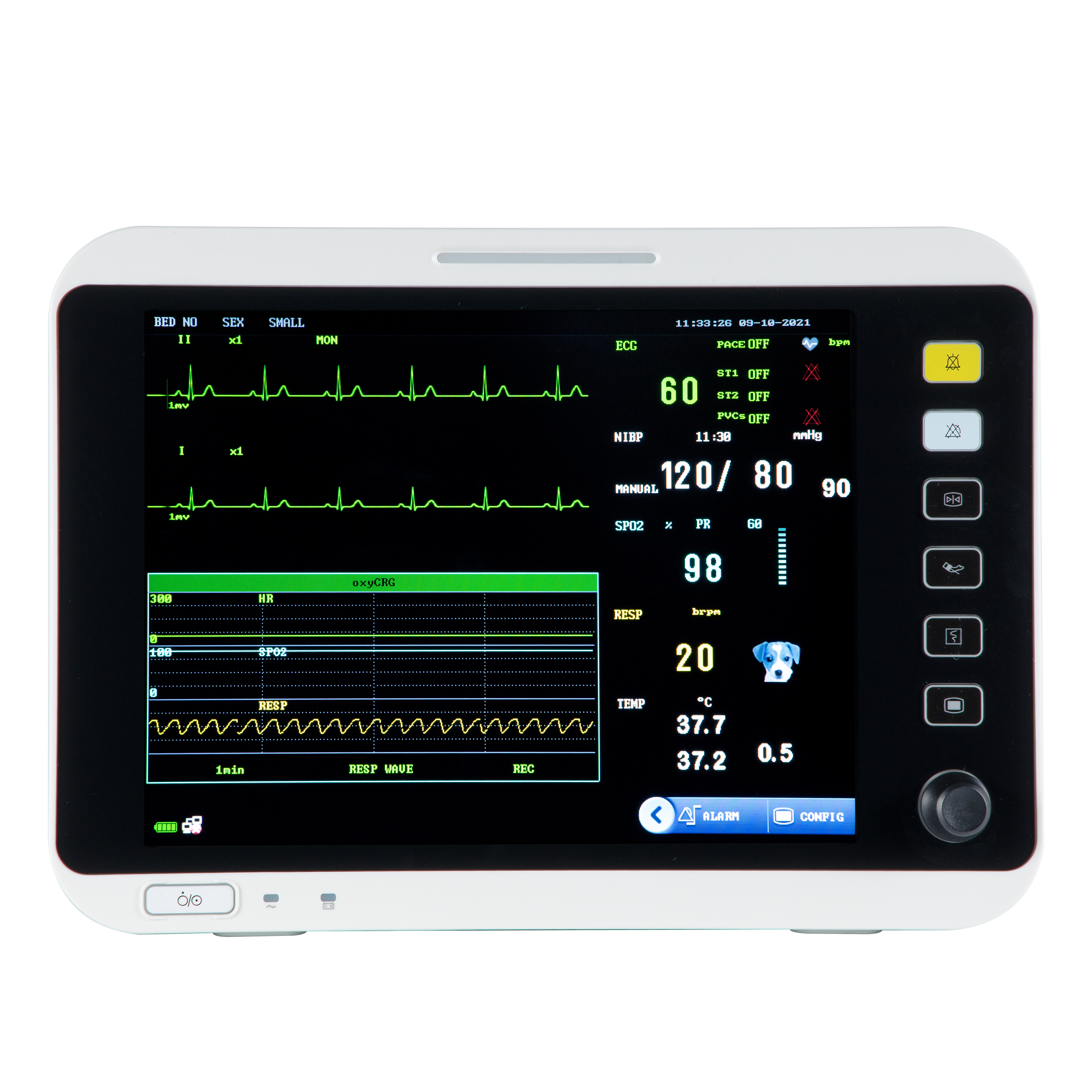 Moniteur multiparamétrique vétérinaire portable de 12,1 pouces VM12B